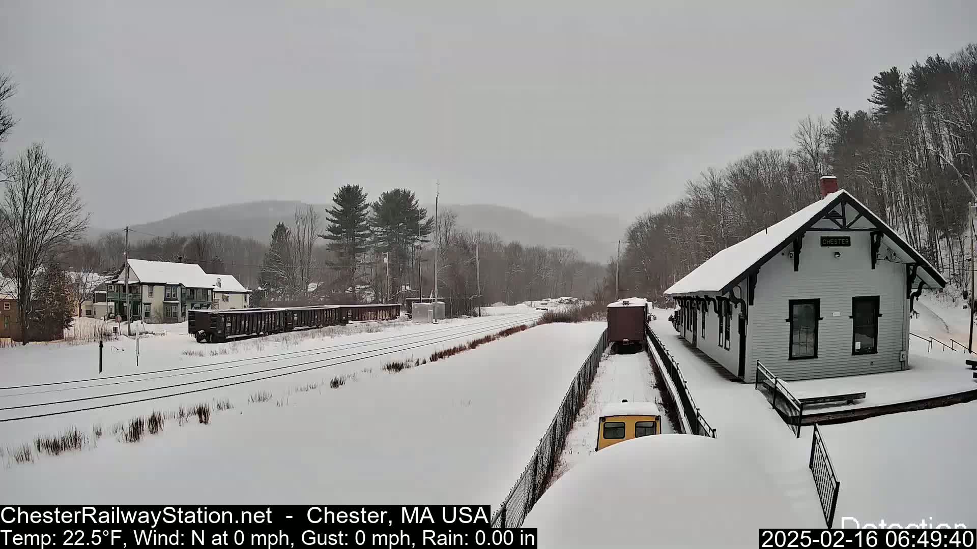 A snow-covered train station and railway with several train cars, nestled among snow-covered trees and houses, under a cloudy sky.