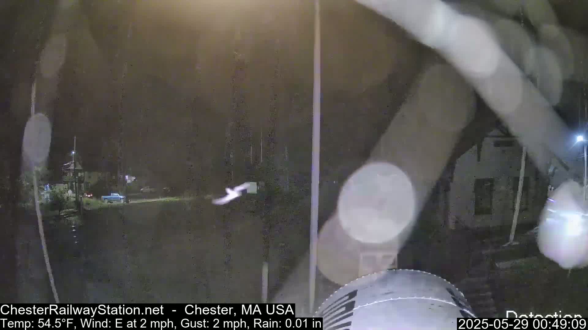 A nighttime view of a lightly rain-covered street with a vehicle and a bird in flight, under dimly lit conditions.