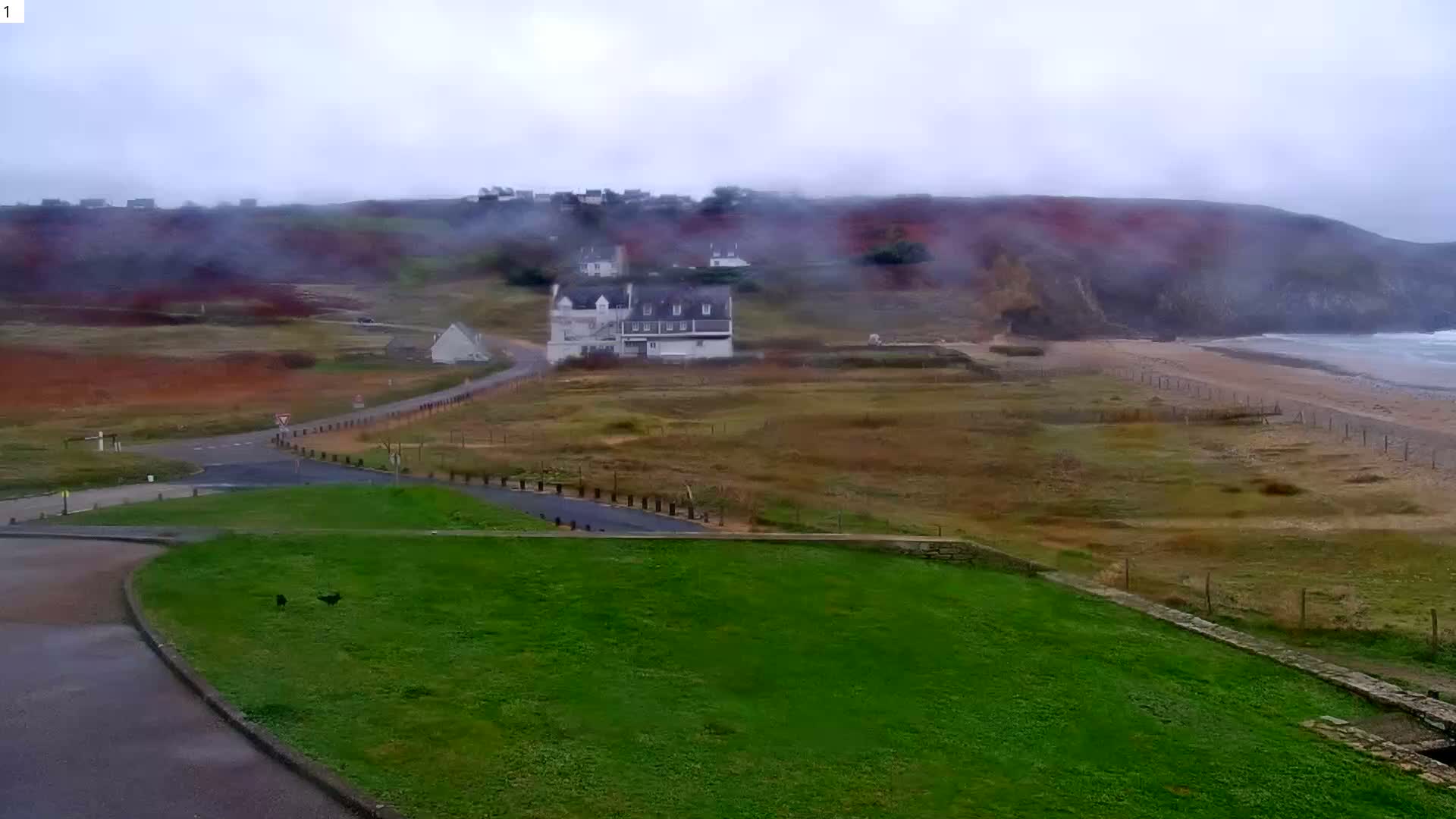A cloudy and misty coastal landscape features a winding road, scattered houses, a sandy beach with crashing waves, and two birds on bright green grass in the foreground.
