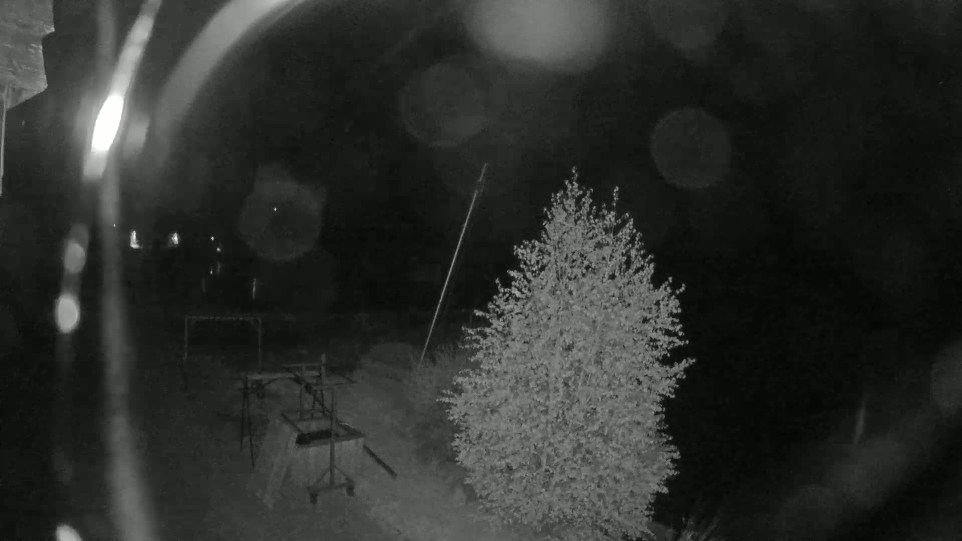 A nighttime, blurry, low-light image shows a small tree and some metal structures, possibly in a yard or garden, with rain or condensation on the camera lens.