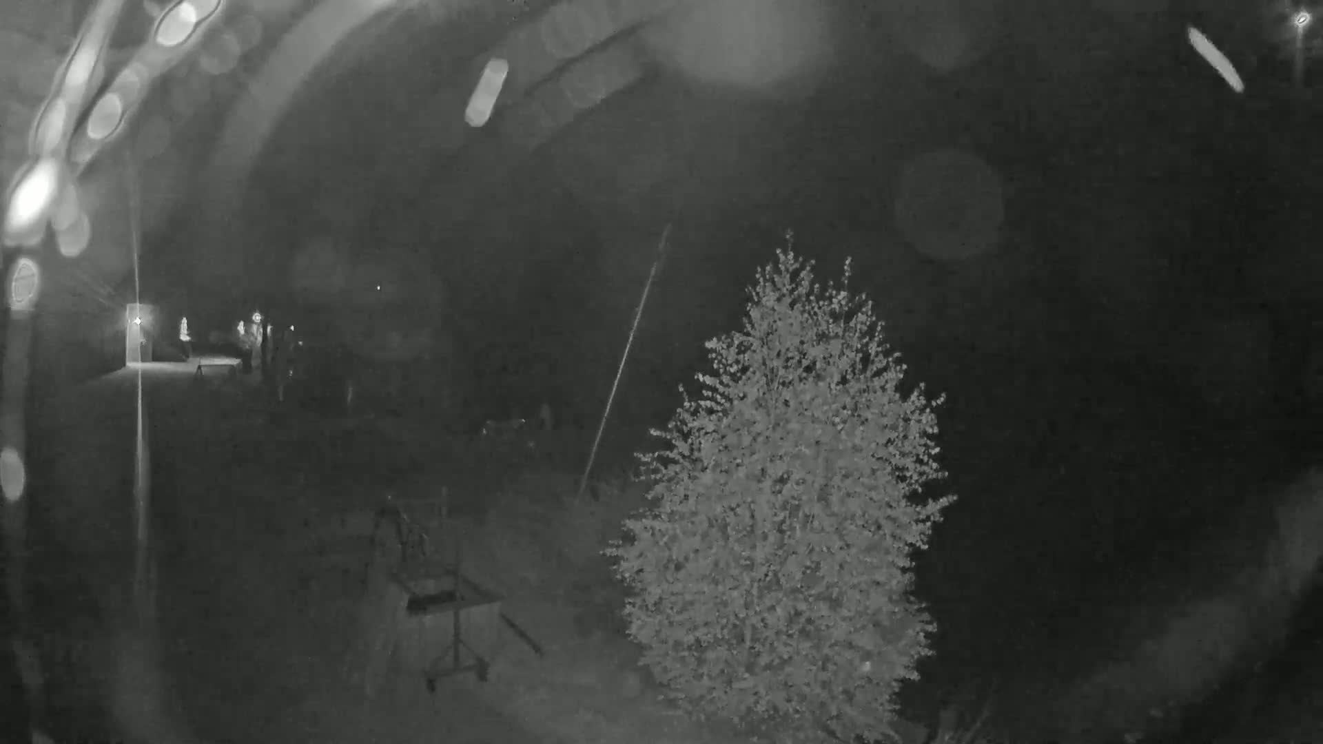 A nighttime, low-light image shows several people standing near a building, a small tree, and what appears to be a cart or grill.