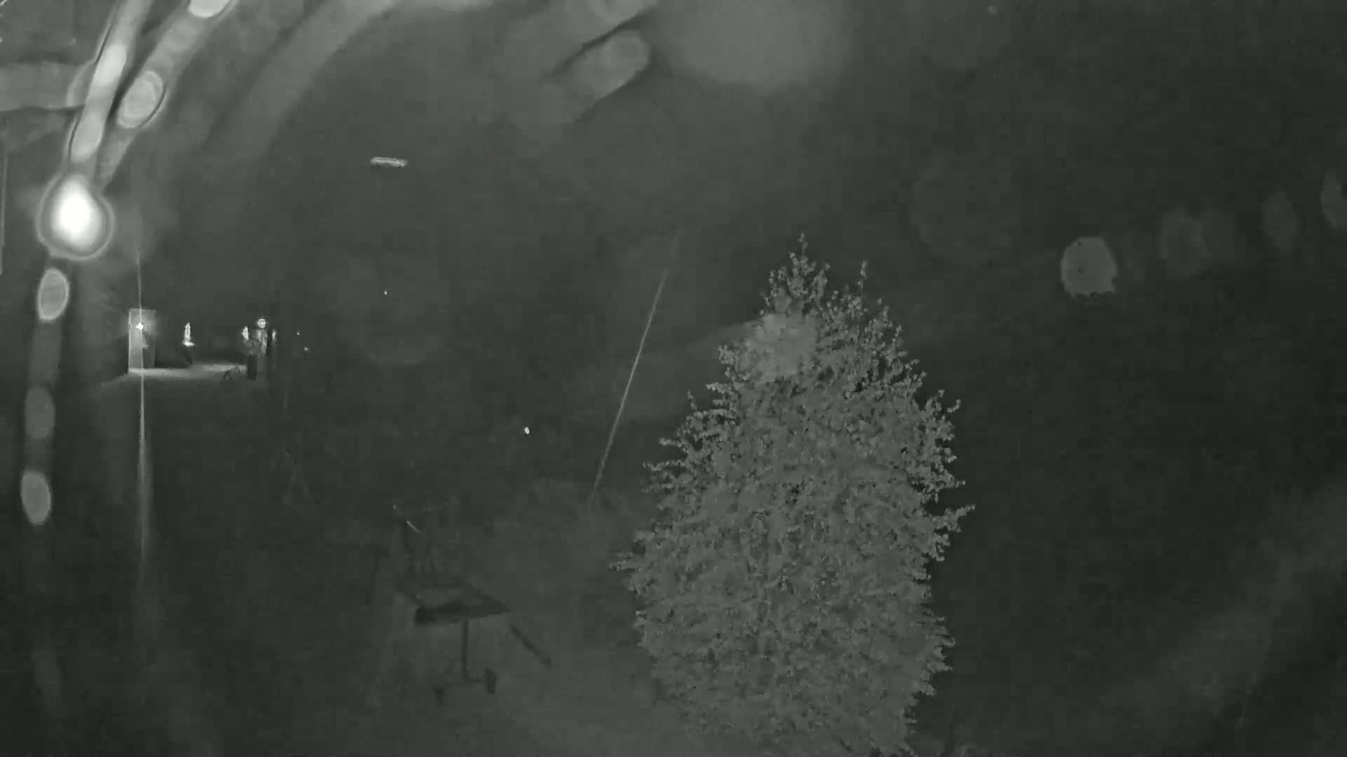 A nighttime, low-light image shows a small tree, a partially visible table, and indistinct figures in the background.