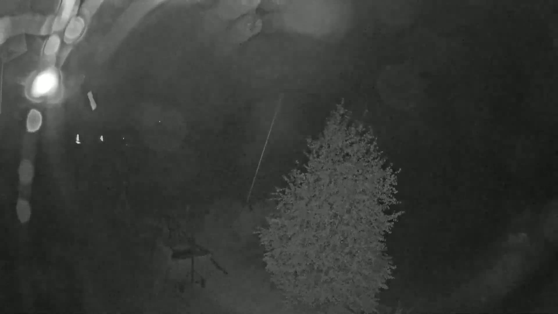 A blurry nighttime image shows a small tree and a thin, bright streak in the sky amidst rain.