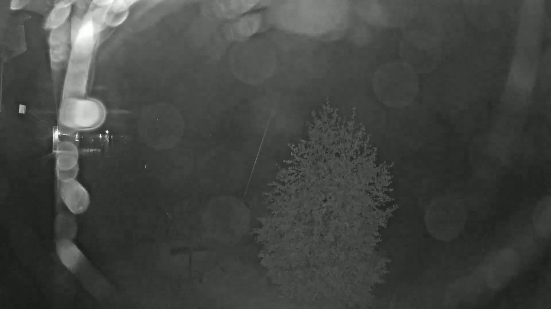 A nighttime, blurry image shows a tree and a road with vehicle lights in the distance, under a hazy sky with light precipitation.