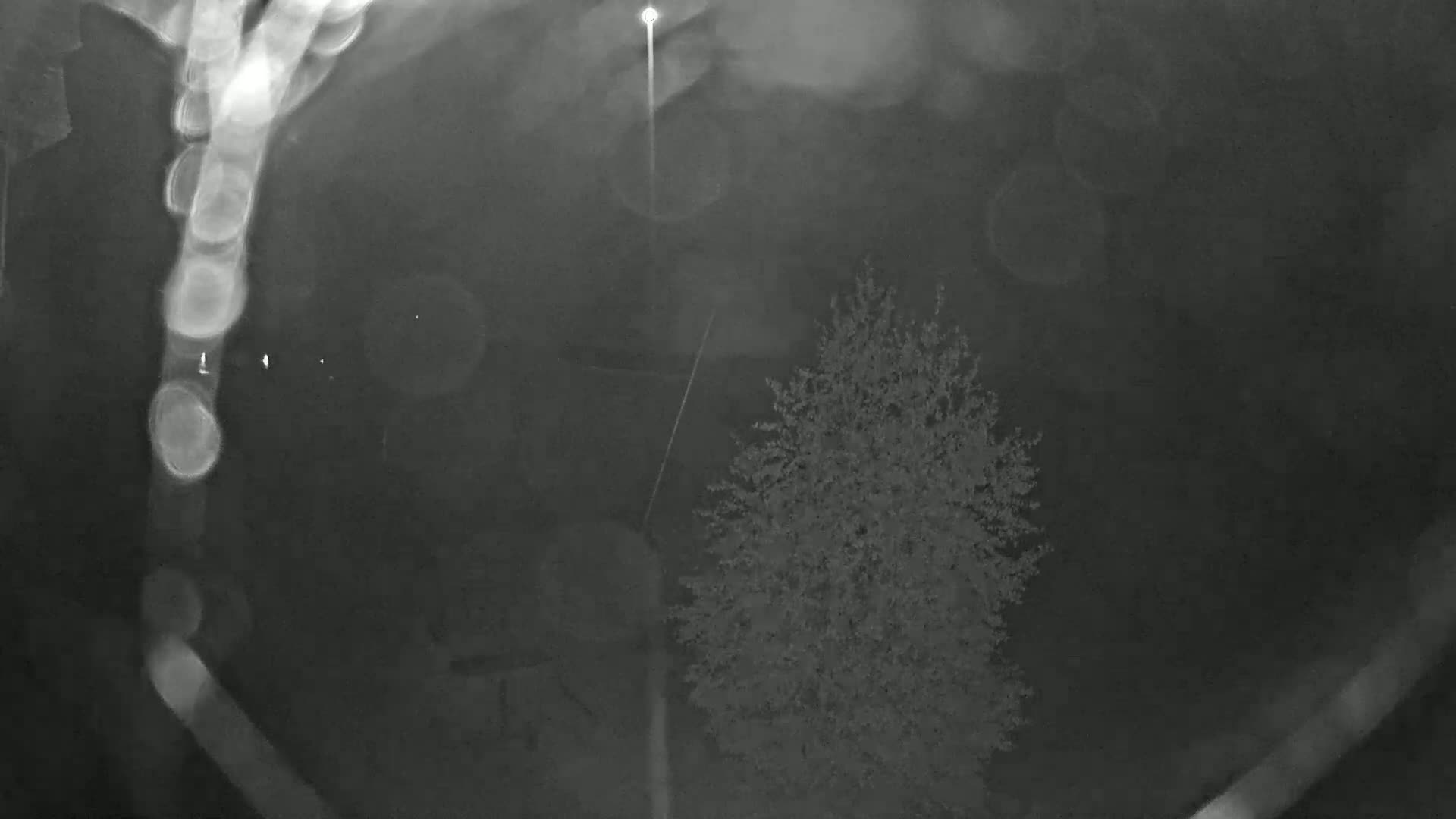 A nighttime, blurry view shows a tree and a bright light in the distance, with rain or moisture obscuring the view.