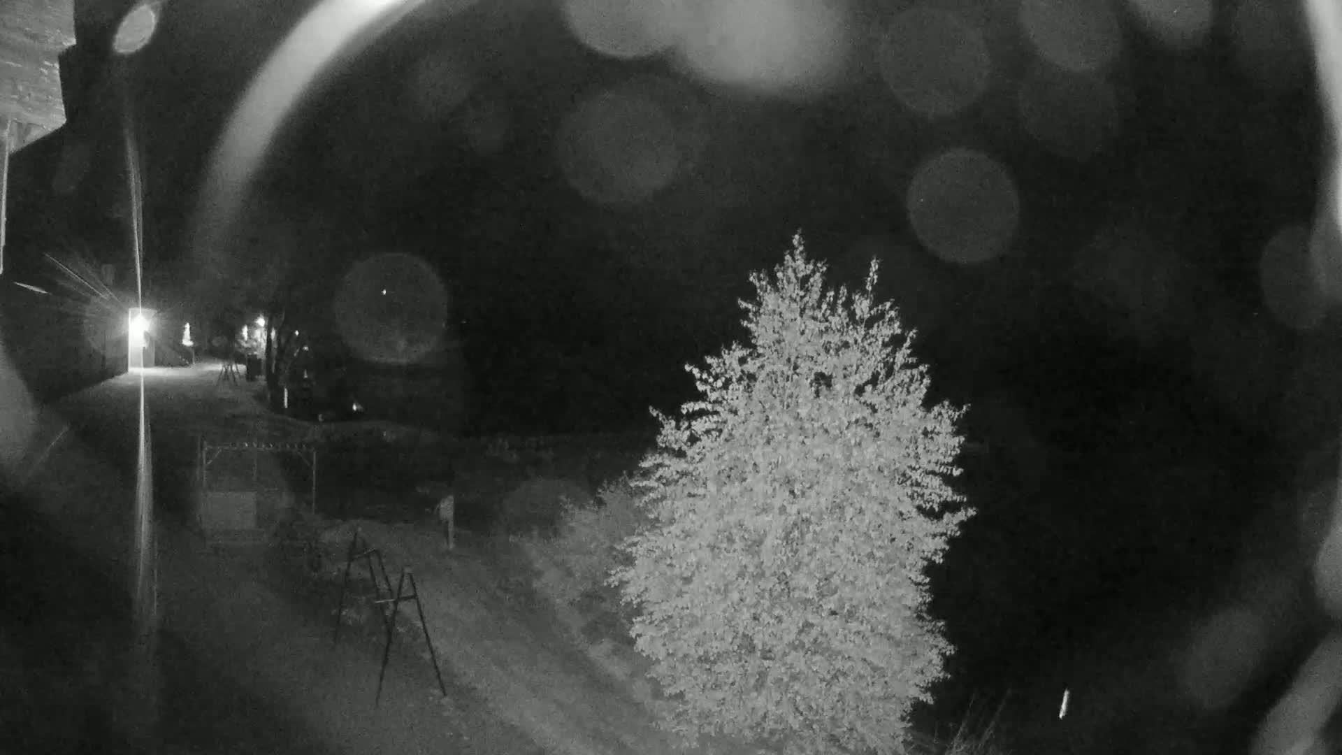 A nighttime, blurry black and white image shows a tree and a pathway leading to a building under a dark, possibly rainy sky.