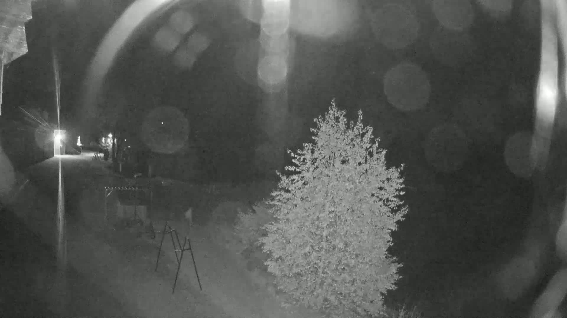A nighttime, blurry outdoor scene shows a small tree and a metal frame, with a paved area and some distant lights visible through light rain or snow.