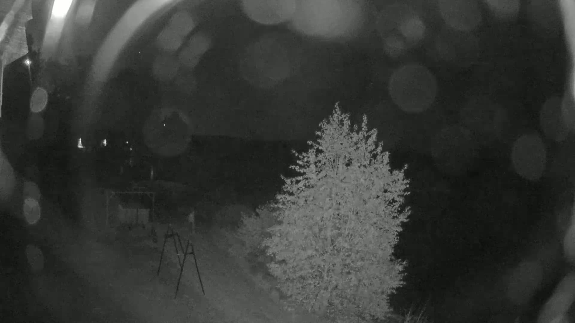 A nighttime, blurry image shows a small tree and a swing set in a yard with rain or snow.