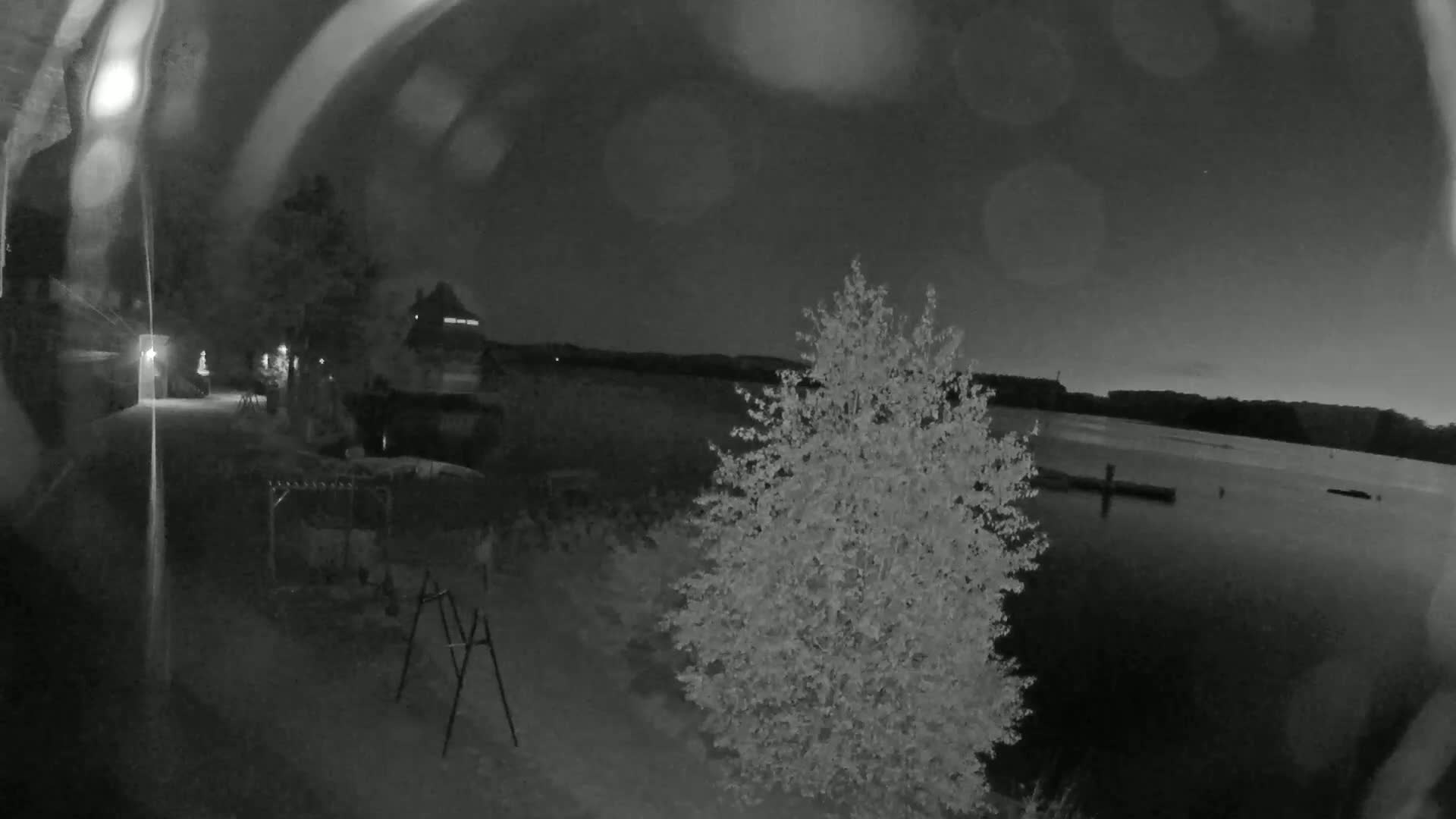 A nighttime view shows a calm body of water, a tree in the foreground, and a dimly lit shoreline with some structures and trees visible in the background.