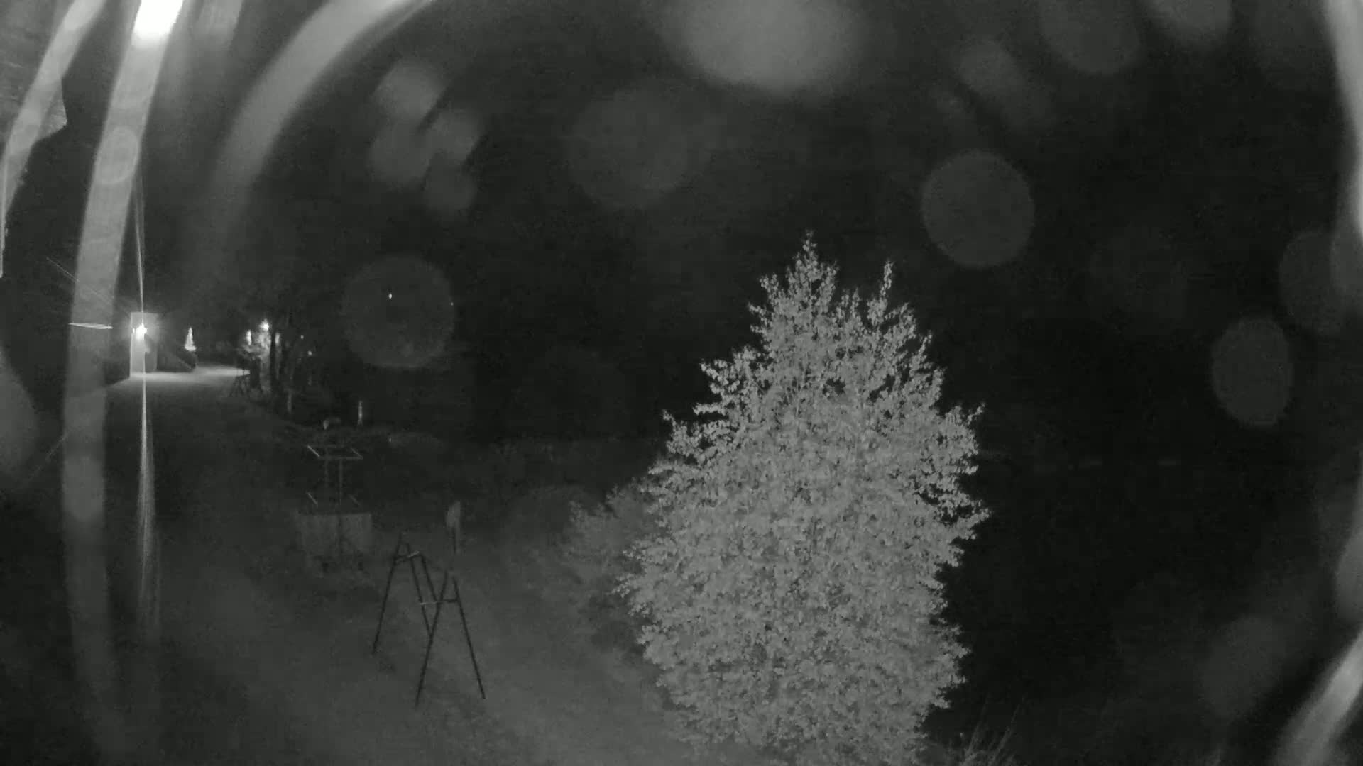 A nighttime, blurry outdoor scene shows a small tree to the right of a dirt path, with a metal object and some indistinct objects in the background under a dark, possibly rainy sky.