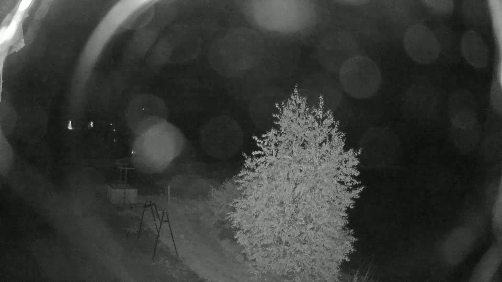 A nighttime, blurry image shows a small tree and a metal swing set in a park-like setting under a dark sky with indistinct lights in the background.