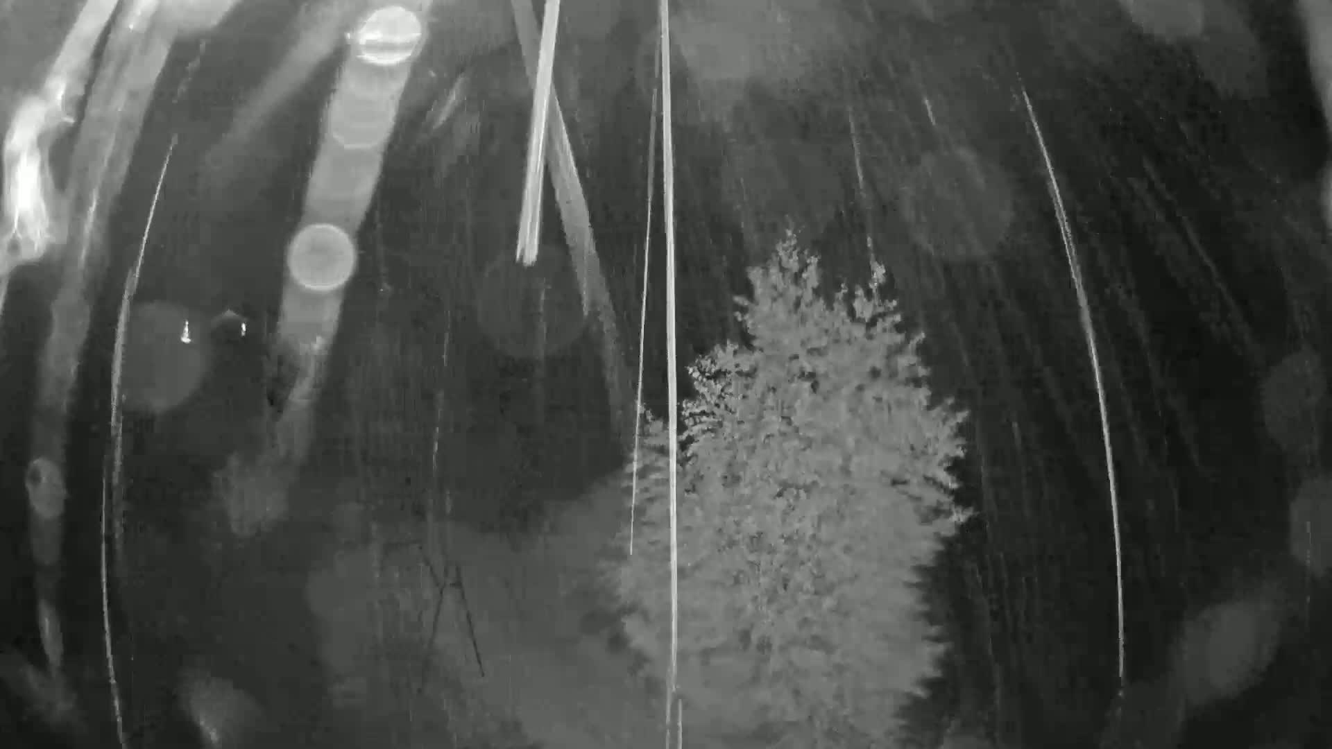 Lac des Settons Lake Live Cam - Château-Chinon (Ville), Nièvre, Bourgogne-Franche-Comté, France
