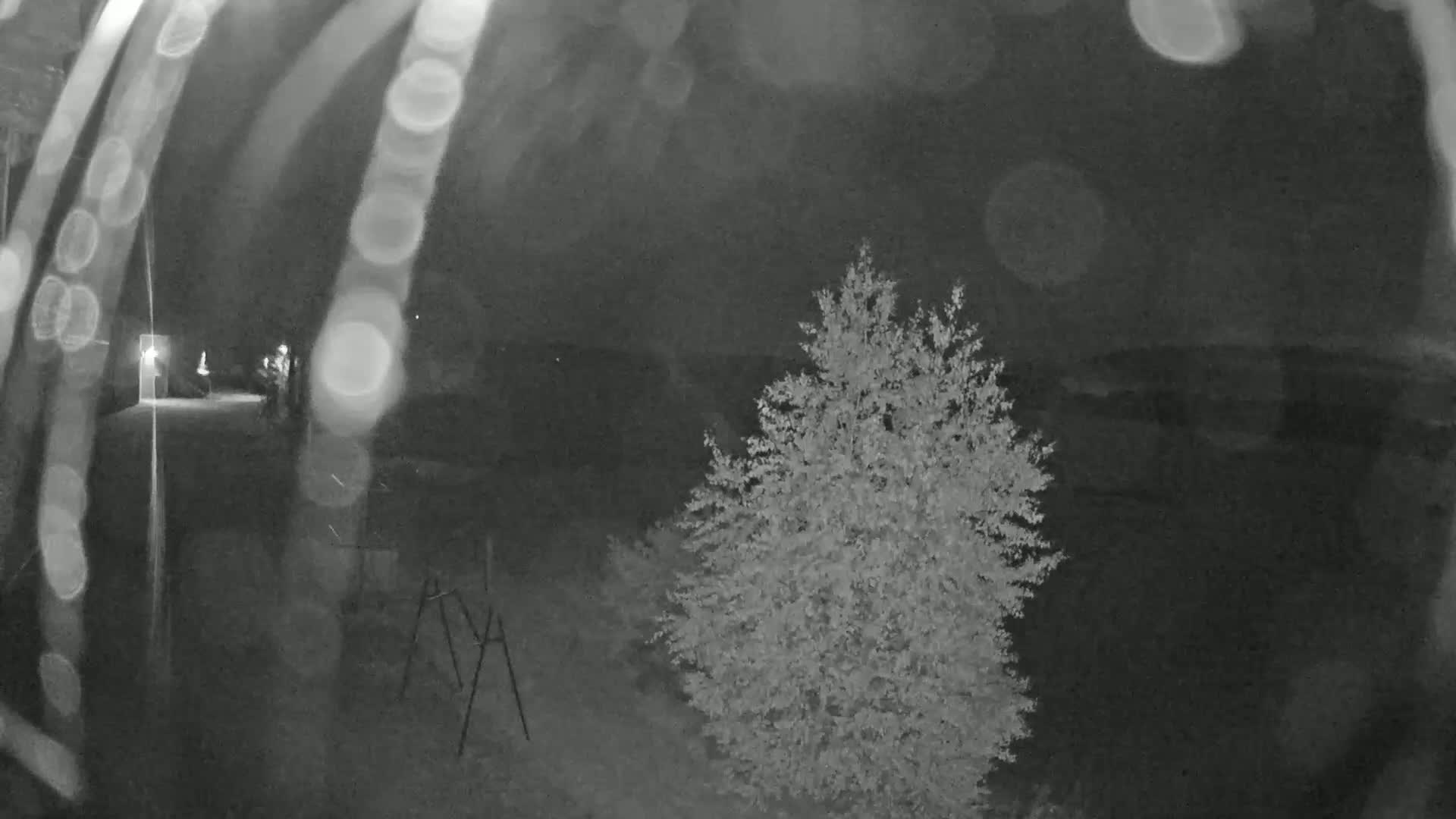 A nighttime, blurry, low-light image shows two figures near a building, a small tree, and a tripod-like object in the foreground, with a dark sky above.