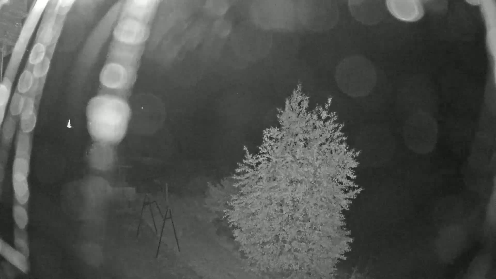 A nighttime, blurry image shows a tree and a metal tripod stand, with a dark, possibly overcast sky in the background.