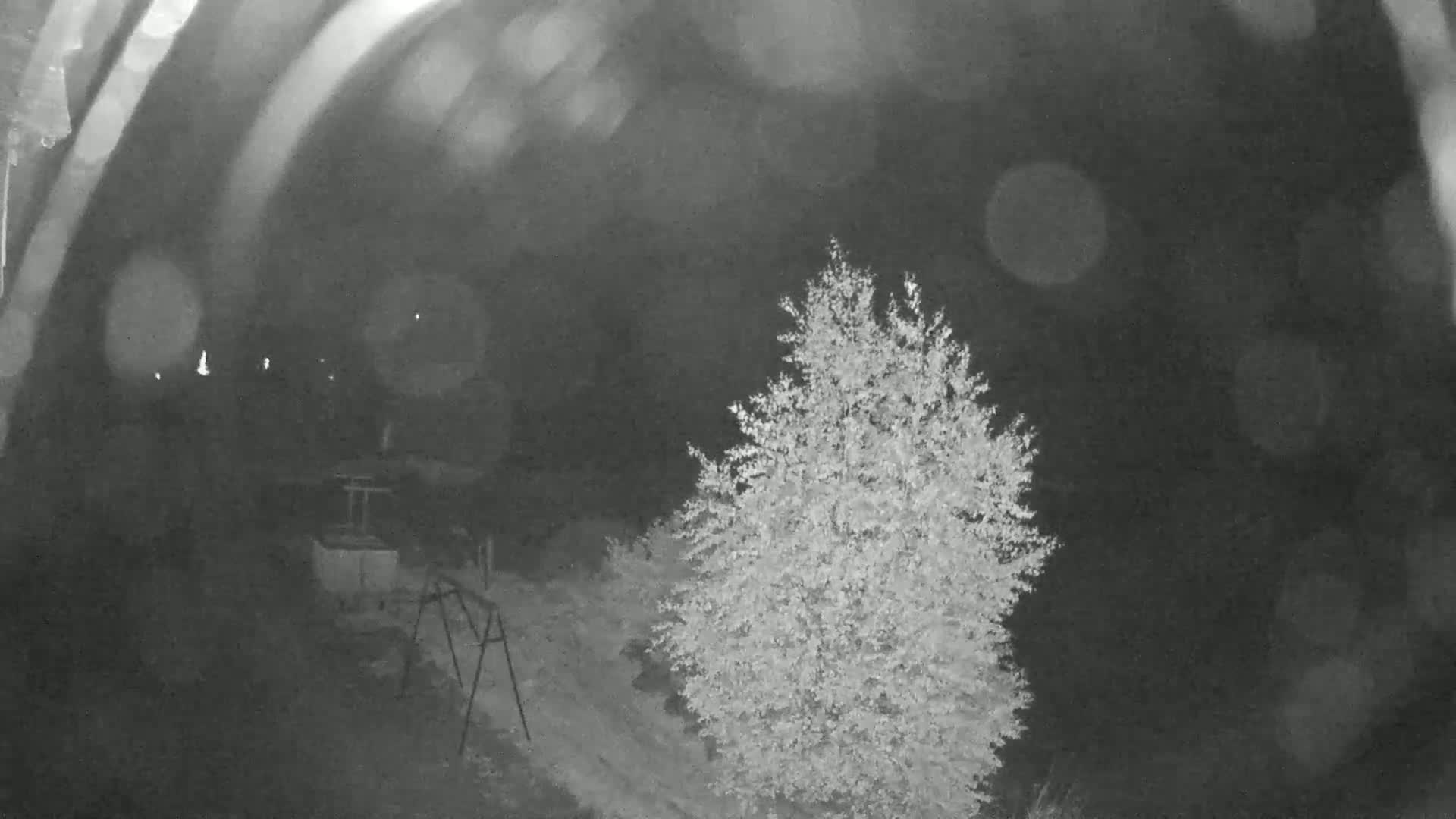 A nighttime, blurry, grayscale image shows a tree and a swing set in a backyard under a dark, possibly rainy sky.