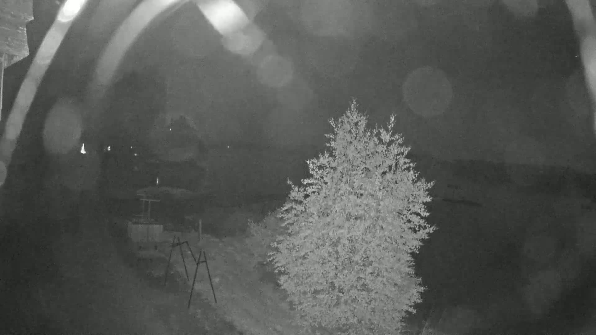 A nighttime, blurry image shows a tree and a swing set in a yard, with a structure and some lights visible in the background.