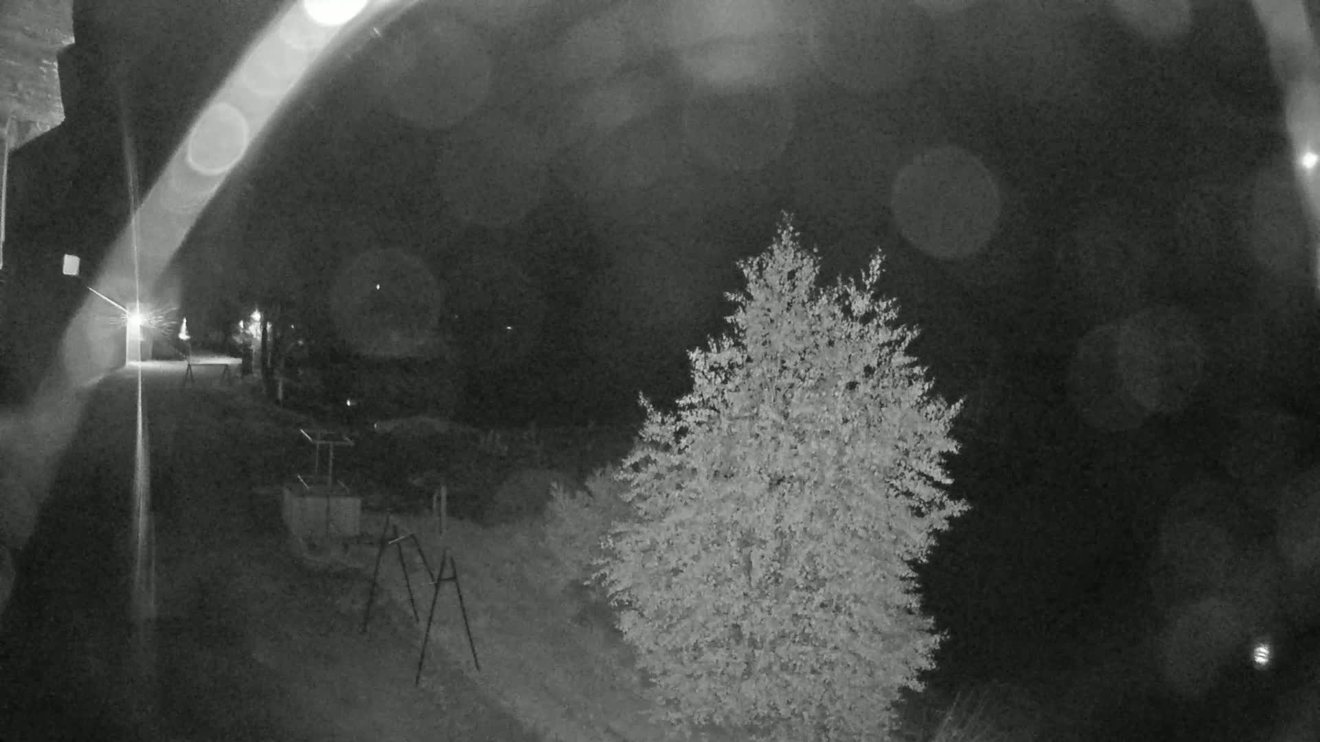 A nighttime, low-light grayscale image shows a tree to the right of center, a building to the left, and some indistinct objects in between, under a dark, possibly cloudy sky.