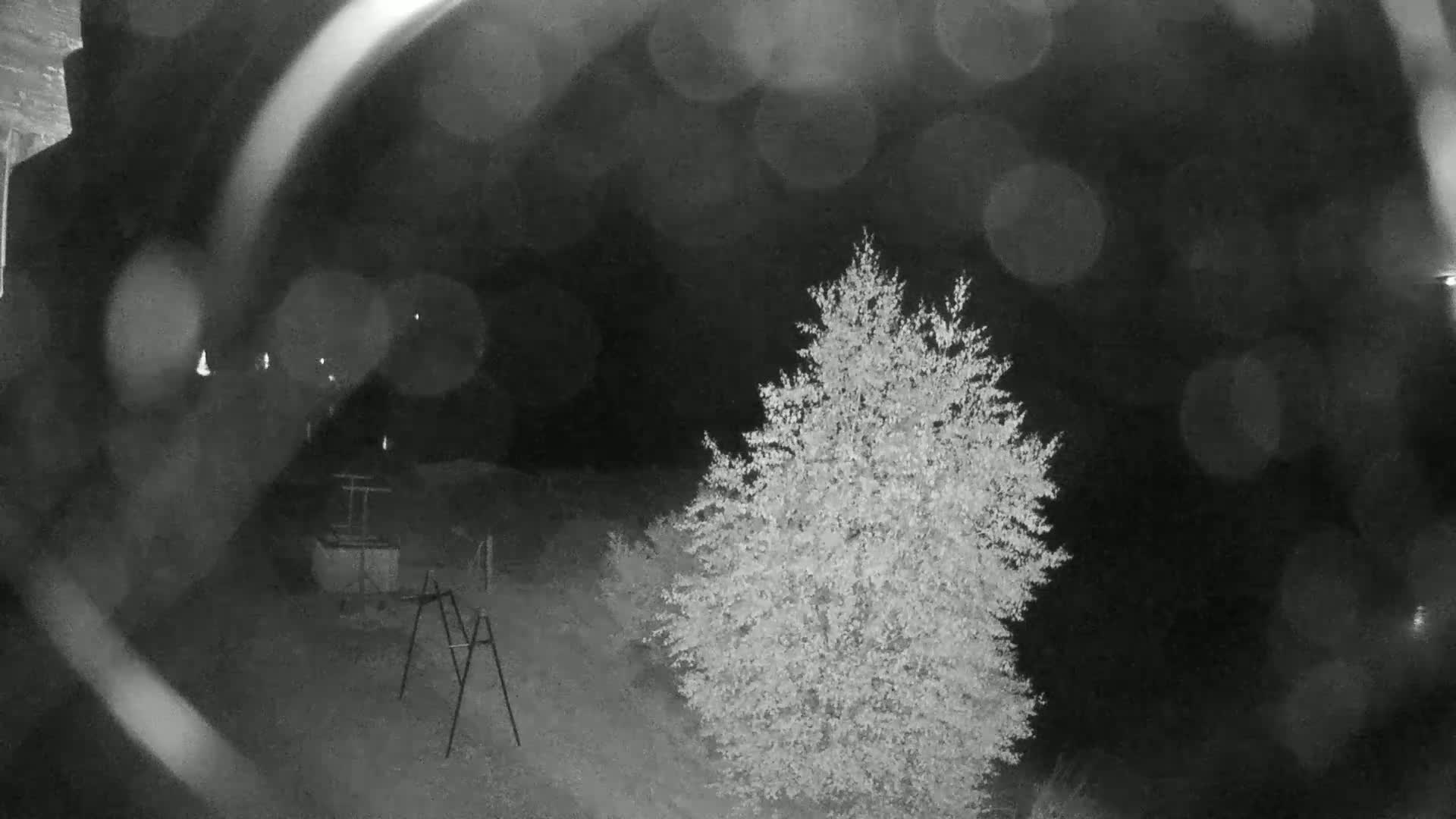 A nighttime, blurry, grayscale image shows a tree and a metal structure in a yard under a dark sky with blurry lights in the distance.