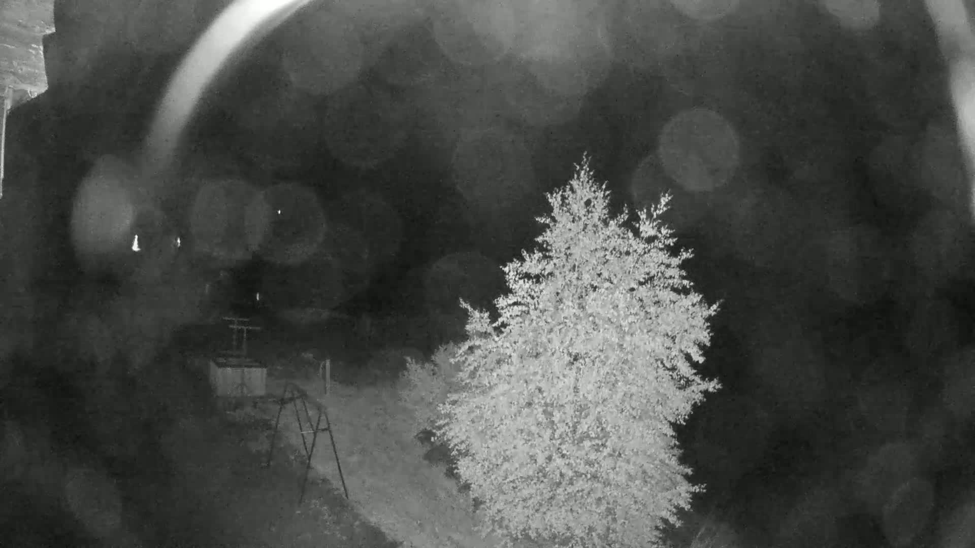 A blurry nighttime image shows a tree in the foreground and a blurred background with what appears to be a small playground set.
