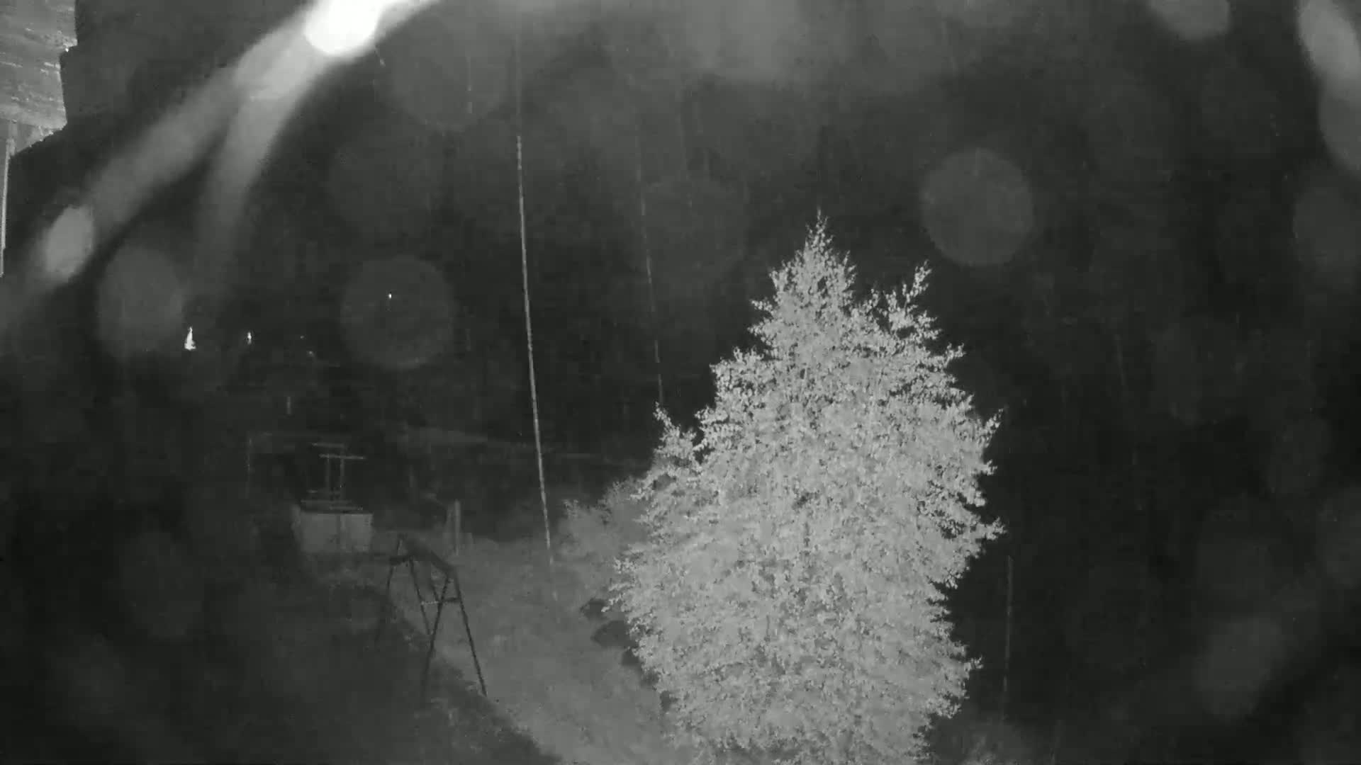 A nighttime, rain-blurred view shows a small tree and part of a swing set in a backyard.