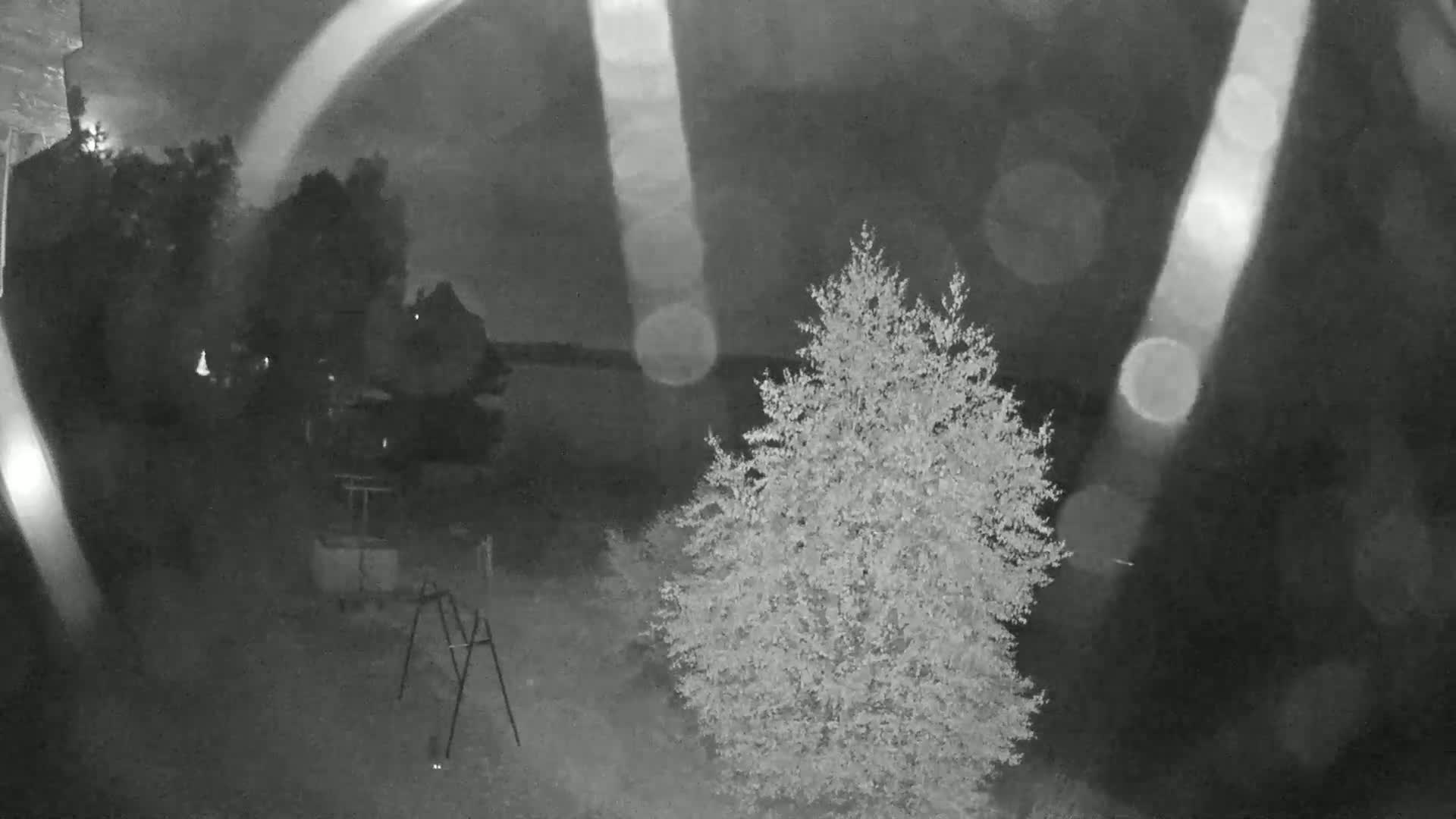 Lac des Settons Lake Live Cam - Château-Chinon (Ville), Nièvre, Bourgogne-Franche-Comté, France