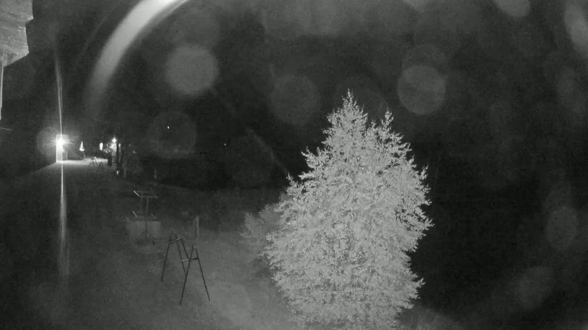 A nighttime, low-light grayscale image shows a tree and some outdoor furniture near a building with a light on.