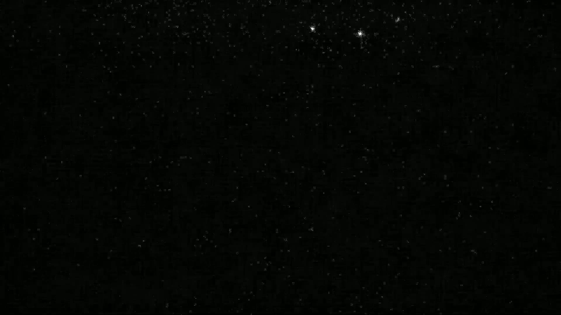 A dark night sky is filled with numerous stars of varying brightness.