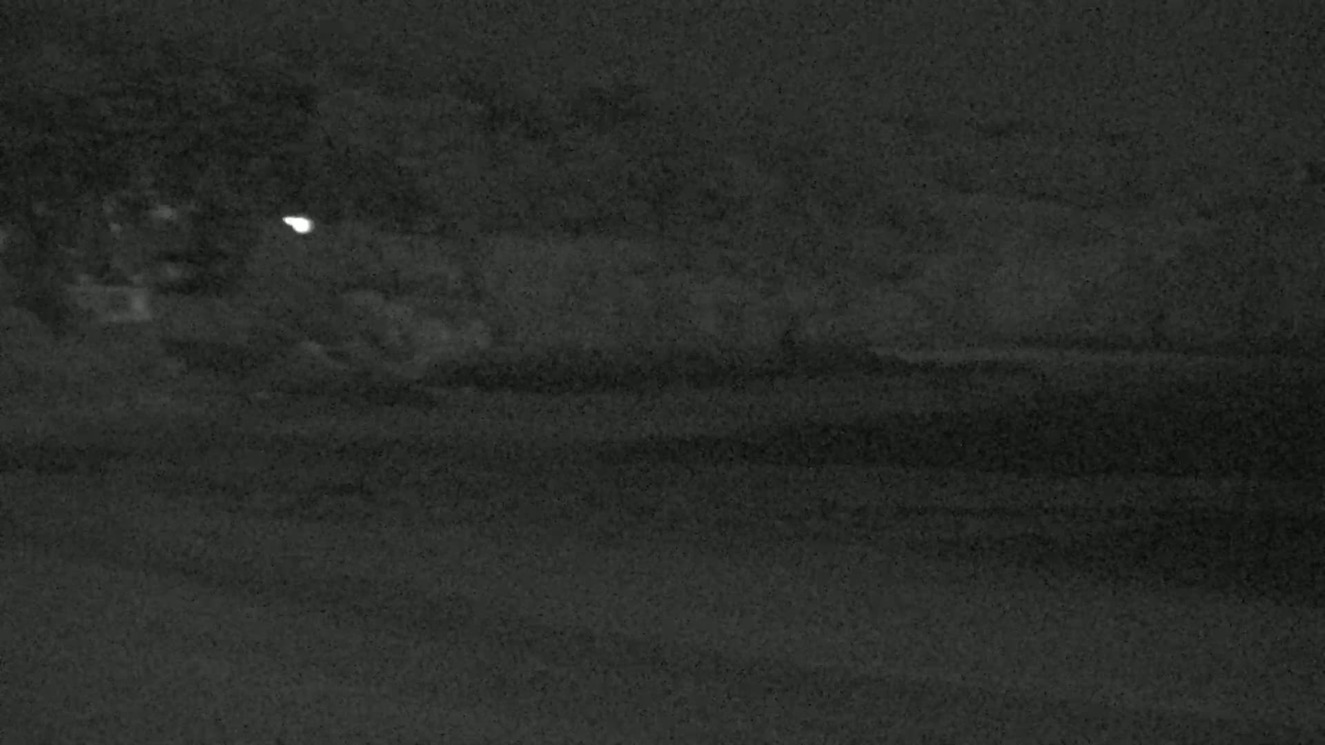 A dimly lit, nighttime outdoor scene shows dark vegetation and a small, bright light in the distance.