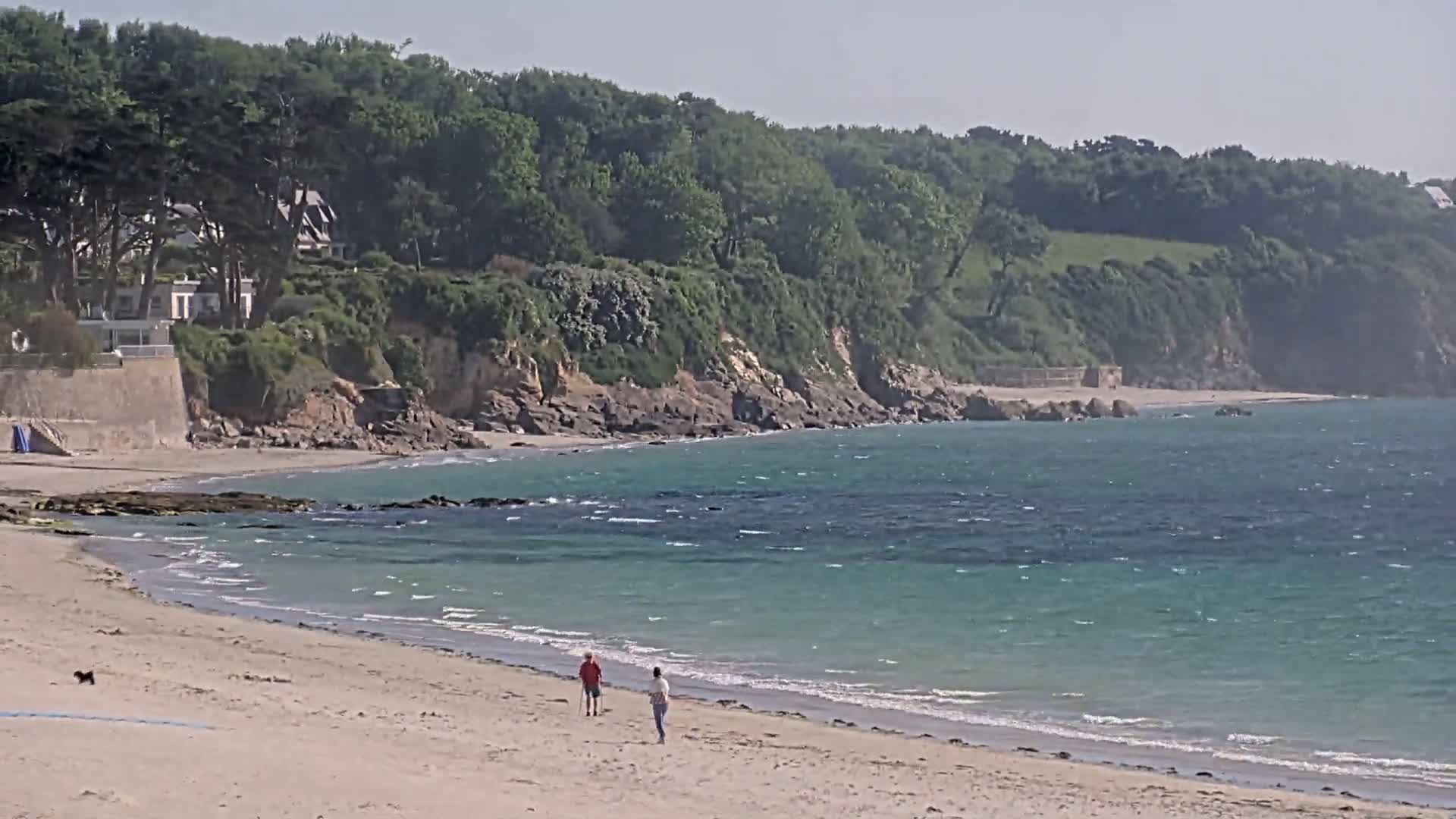A sandy beach with two people walking and a small dog near the shoreline, next to a calm, teal ocean bordered by a rocky coast and lush green cliffs.