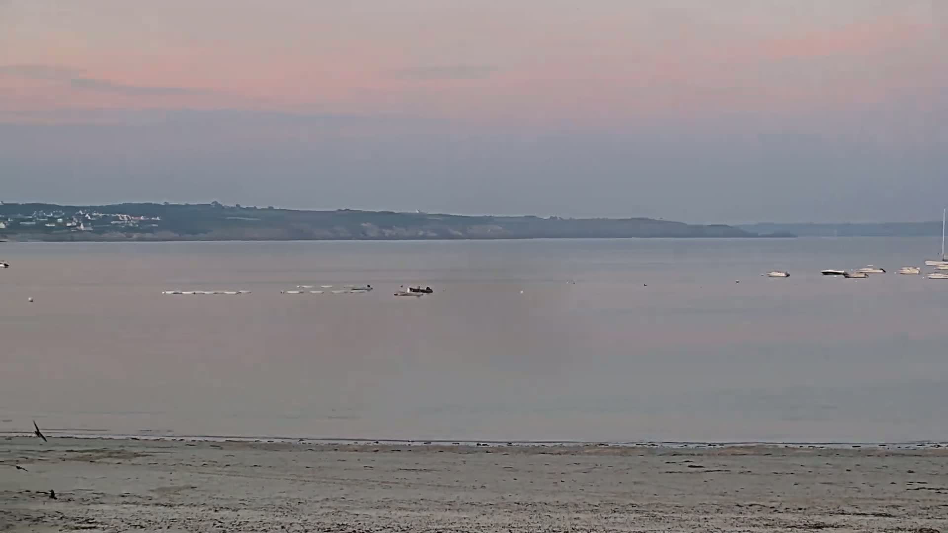 A sandy beach overlooks a calm body of water with several boats and a distant shoreline under a pale pink and grey sky.