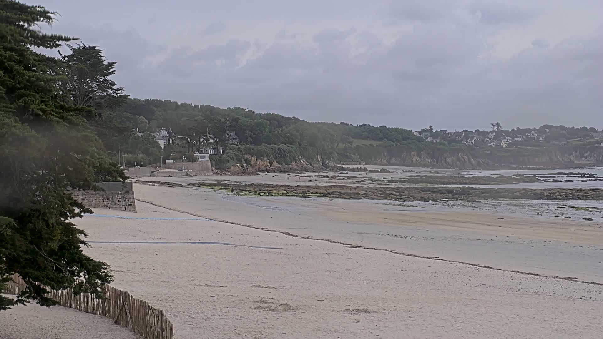 A sandy beach stretches out to a rocky intertidal zone, backed by a line of trees and houses under an overcast sky.