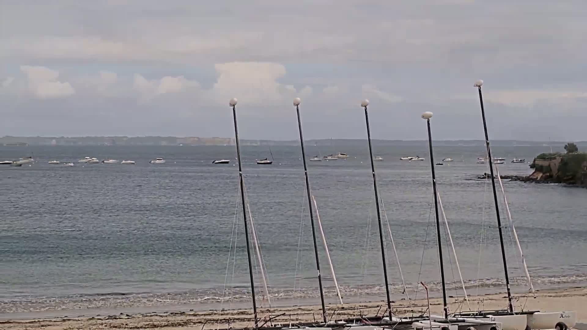 Several sailboats are beached on a sandy shore, with numerous other boats visible on a calm, gray-sky day on the water beyond.