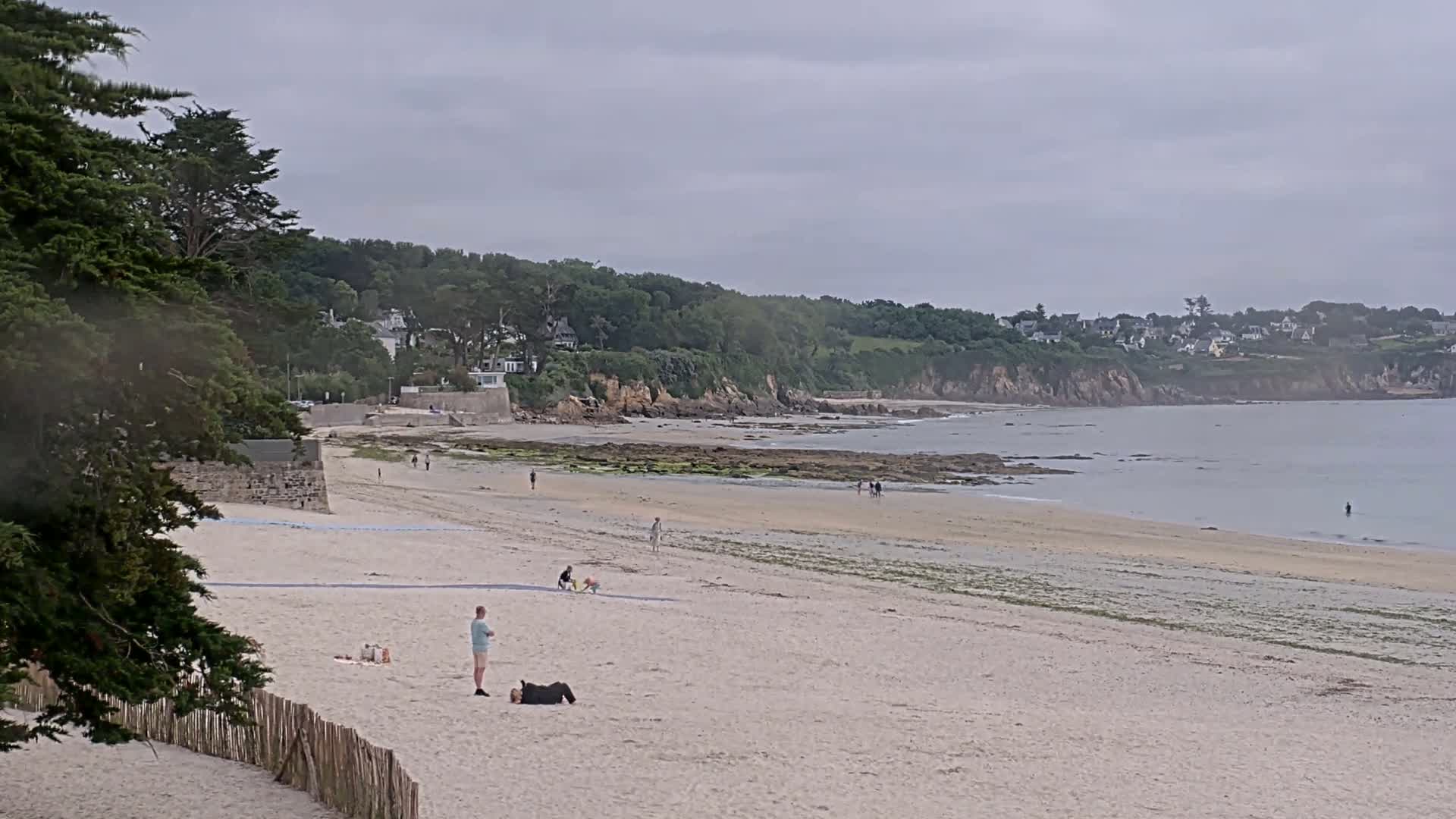 A sandy beach stretches out to a calm ocean under an overcast sky, with a few people and dogs scattered along the shore and a line of trees and buildings in the background.