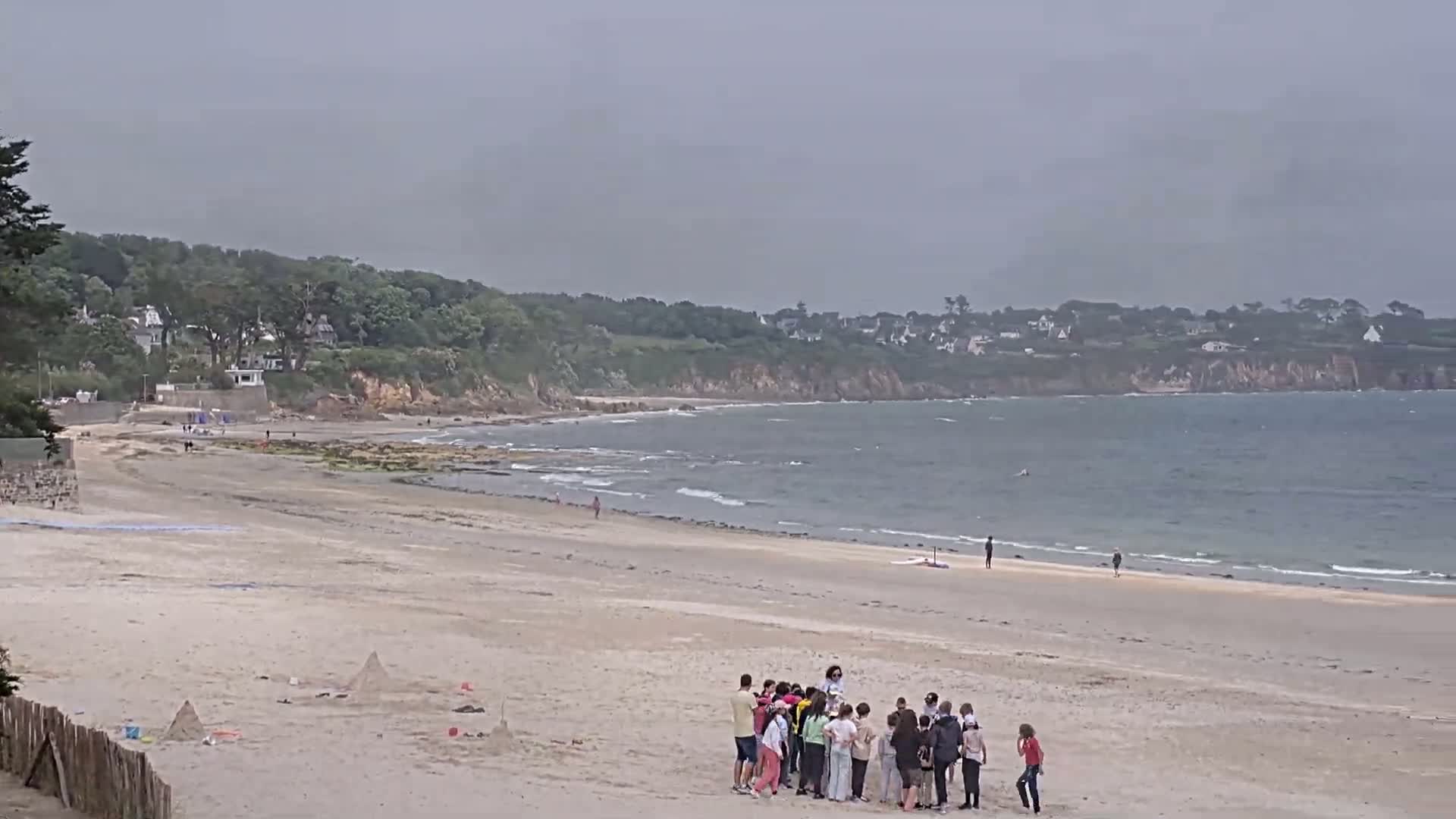 A large group of people stand on a sandy beach next to a calm ocean under an overcast sky.
