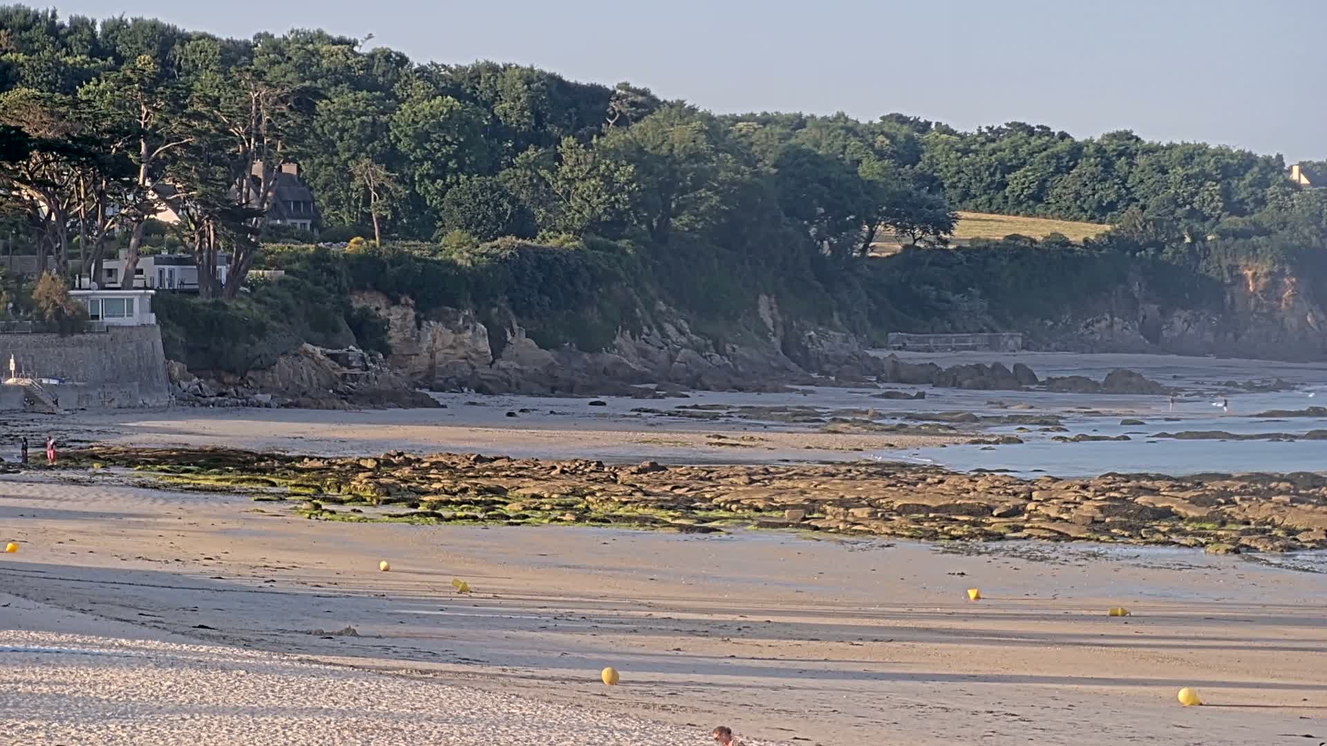 A sandy beach with exposed rocks and seaweed at low tide stretches to a rocky cliff covered in lush green trees under a clear sky.