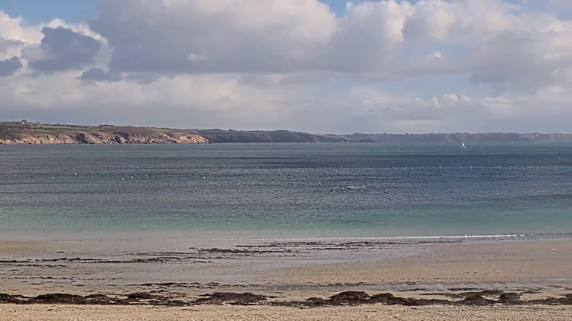 Plougonvelin Plage du Trez Hir Beach Live Cam - Brest, Finistère, Bretagne, France
