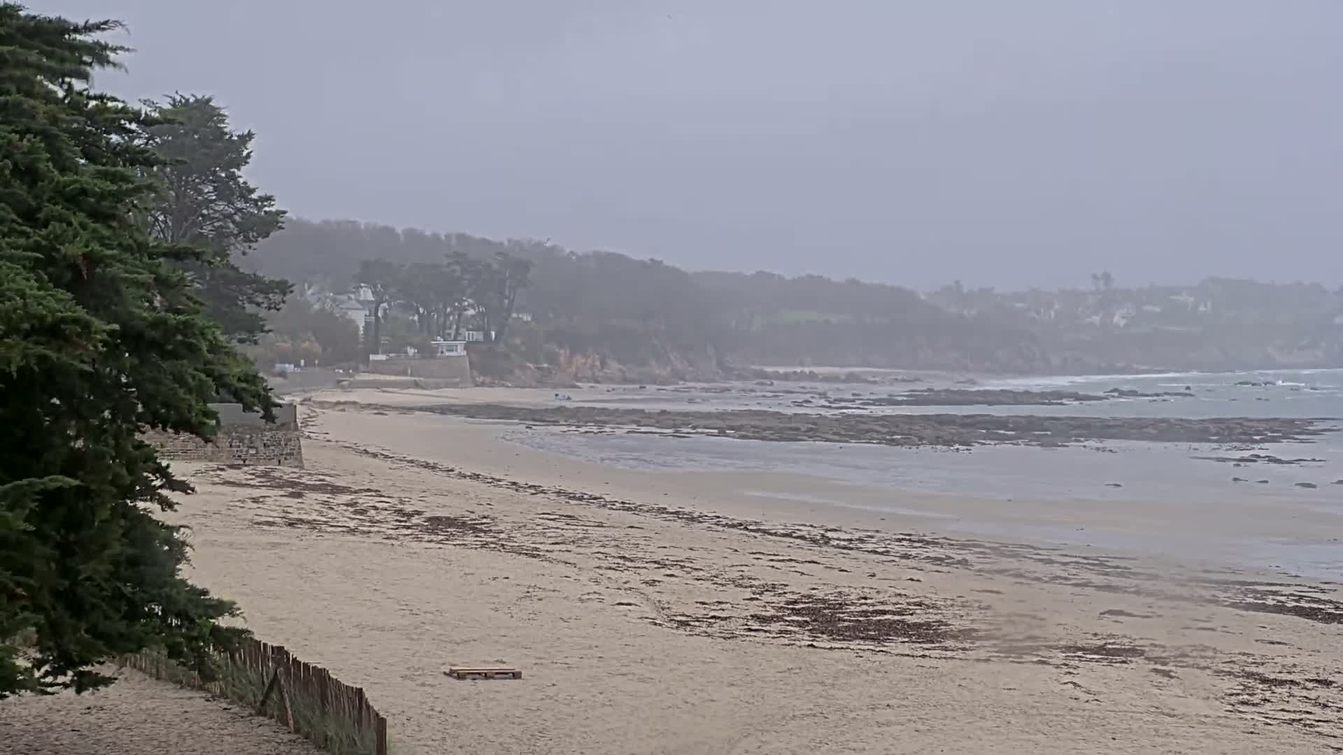 A wide, sandy beach with patches of seaweed leads to a rocky shoreline and a grey ocean, backed by a tree-covered coast with scattered houses, all under a dull, misty overcast sky.