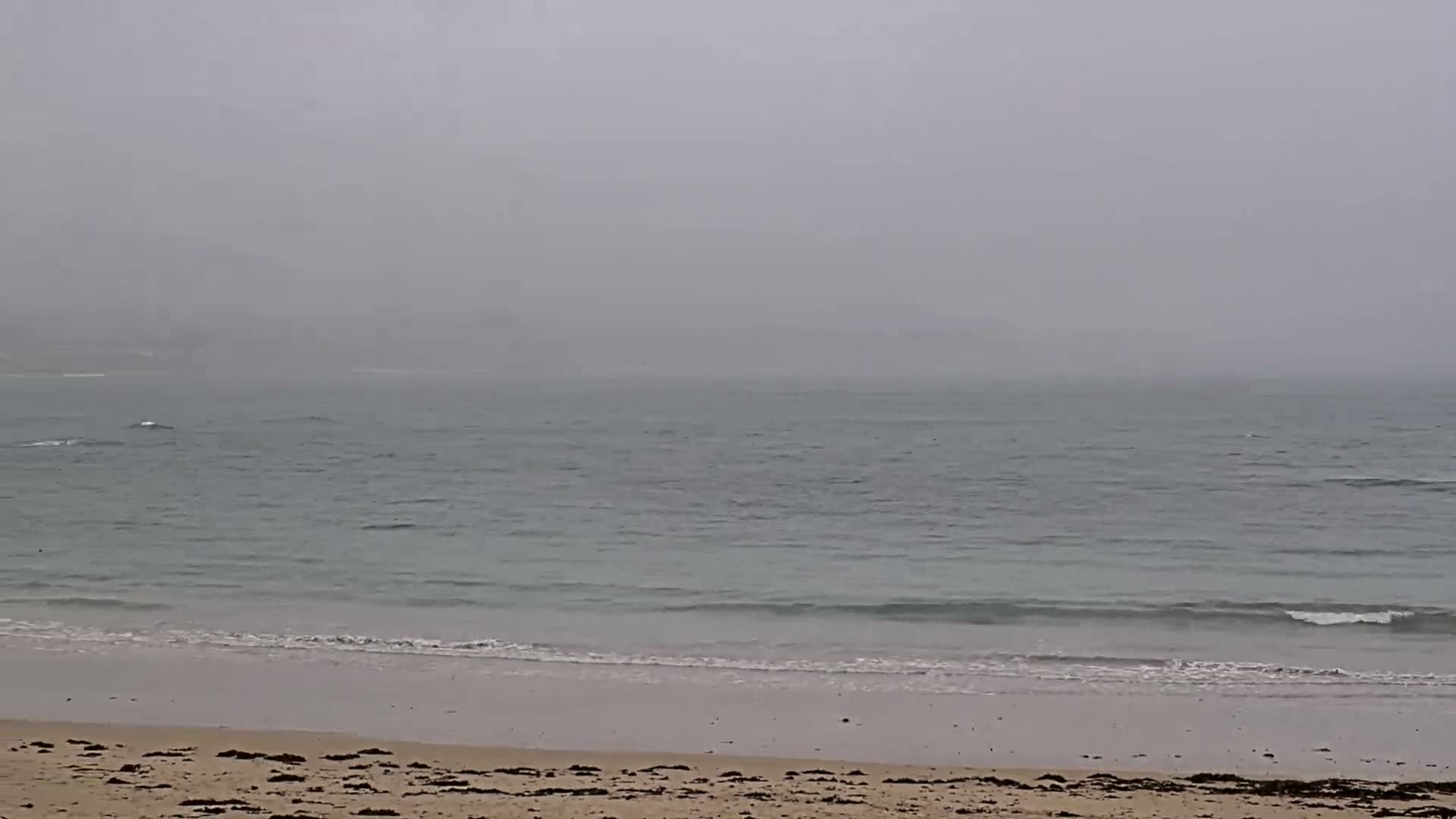 Plougonvelin Plage du Trez Hir Beach Live Cam - Brest, Finistère, Bretagne, France