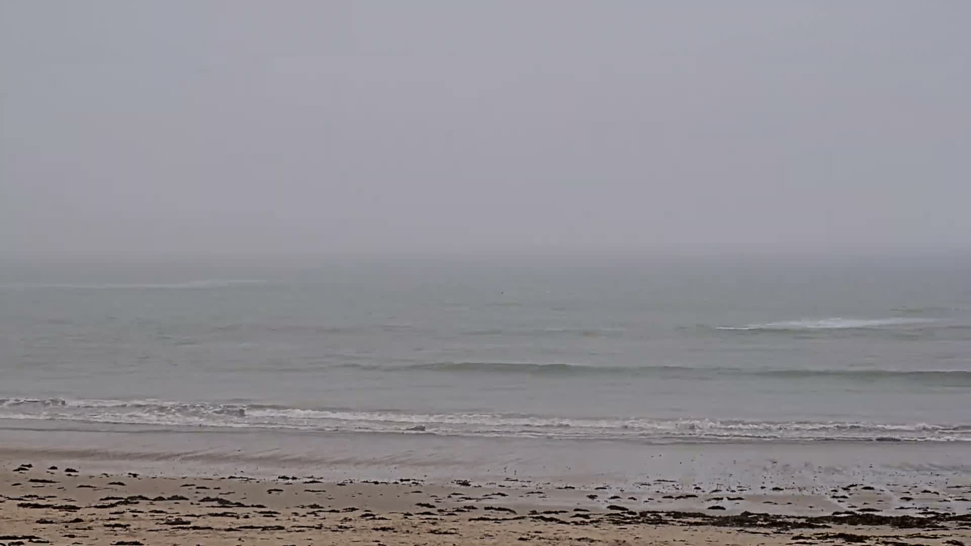 Plougonvelin Plage du Trez Hir Beach Live Cam - Brest, Finistère, Bretagne, France