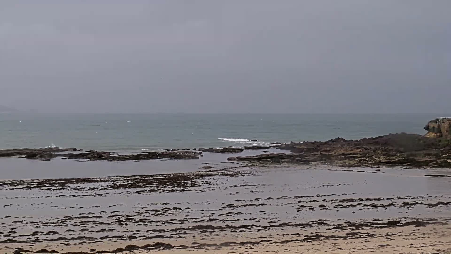 Plougonvelin Plage du Trez Hir Beach Live Cam - Brest, Finistère, Bretagne, France