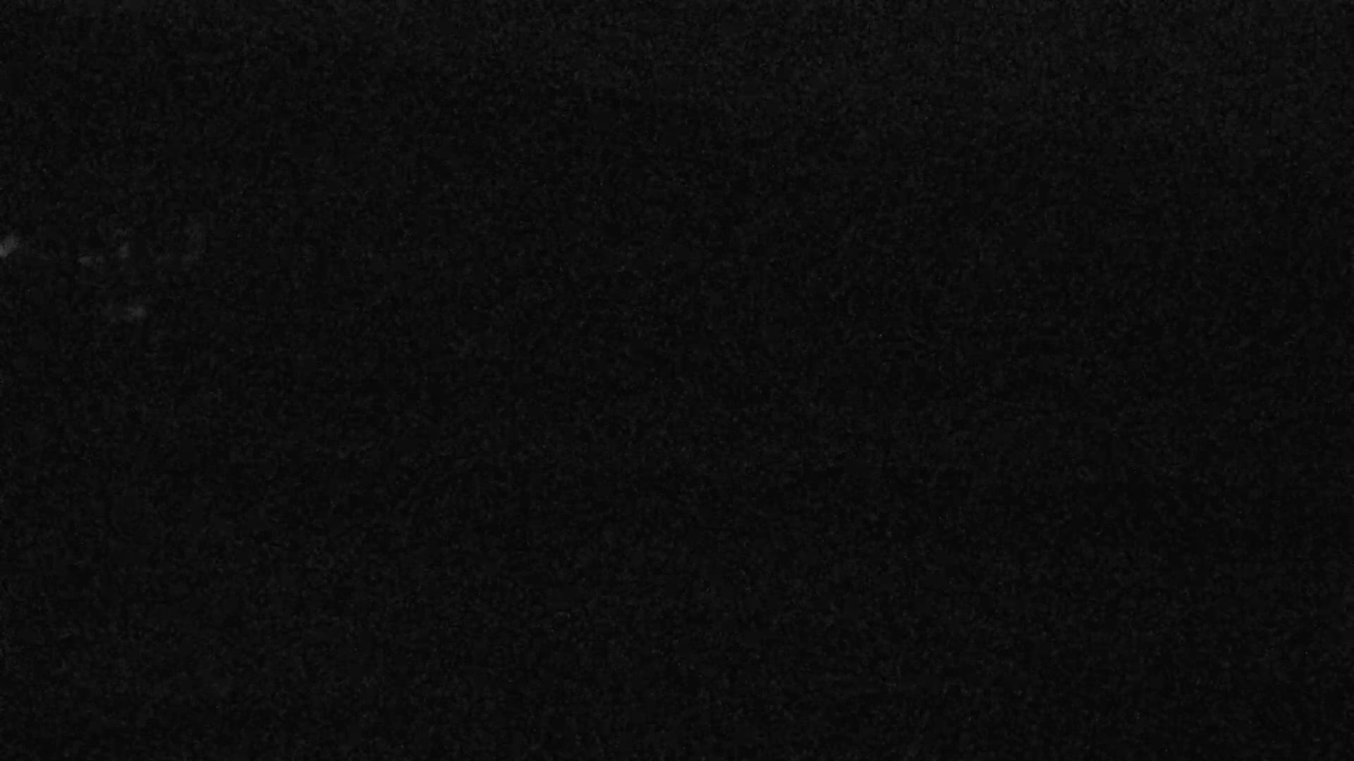 Plougonvelin Plage du Trez Hir Beach Live Cam - Brest, Finistère, Bretagne, France