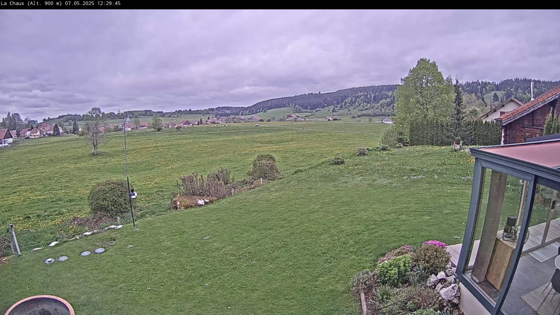 A grassy yard slopes down to a large field dotted with wildflowers, overlooking a small village nestled against a forested hillside under an overcast sky.