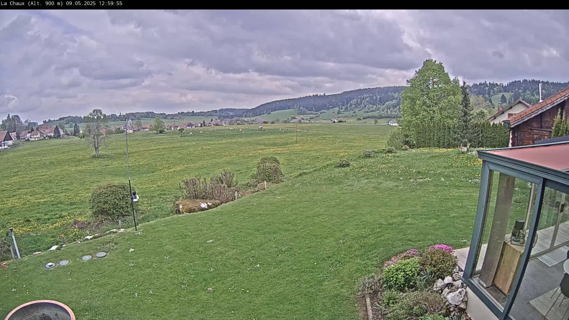 A sprawling green lawn slopes down to a field dotted with dandelions, extending to a village nestled at the foot of forested hills under a cloudy sky.