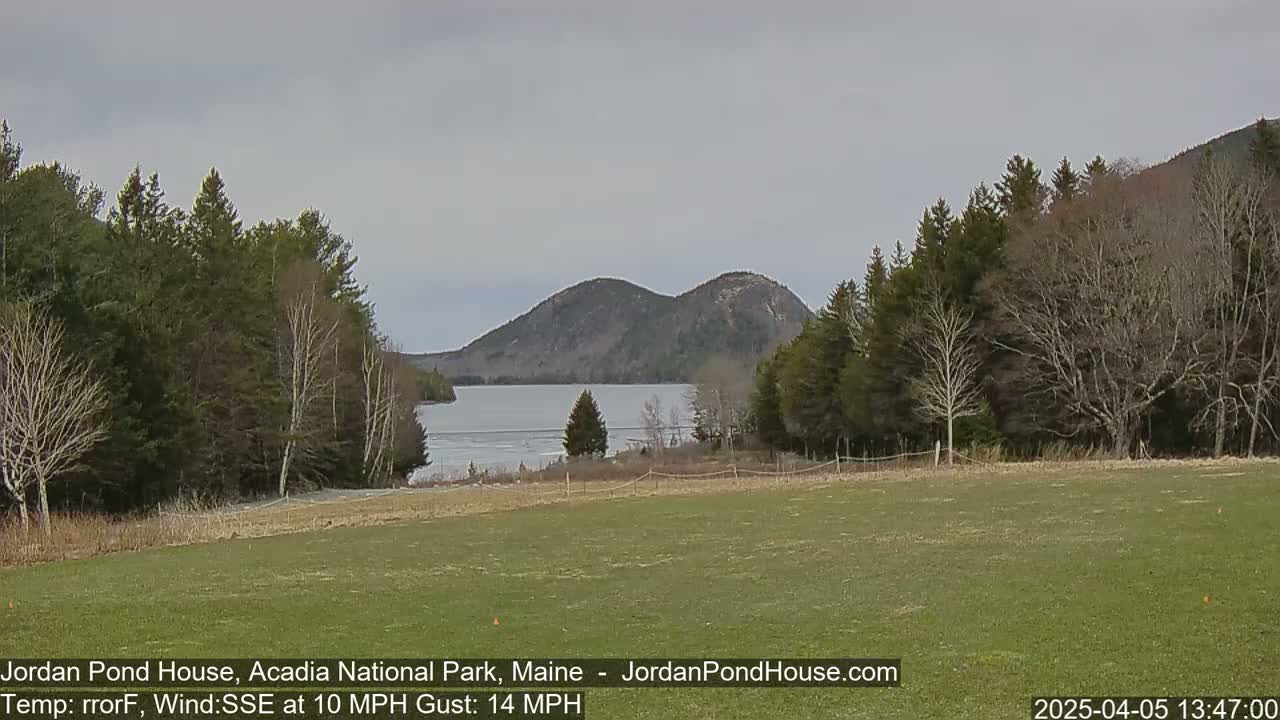 A partly frozen lake is visible between dark green, leafless trees under an overcast sky, with a grassy field in the foreground and mountains in the background.