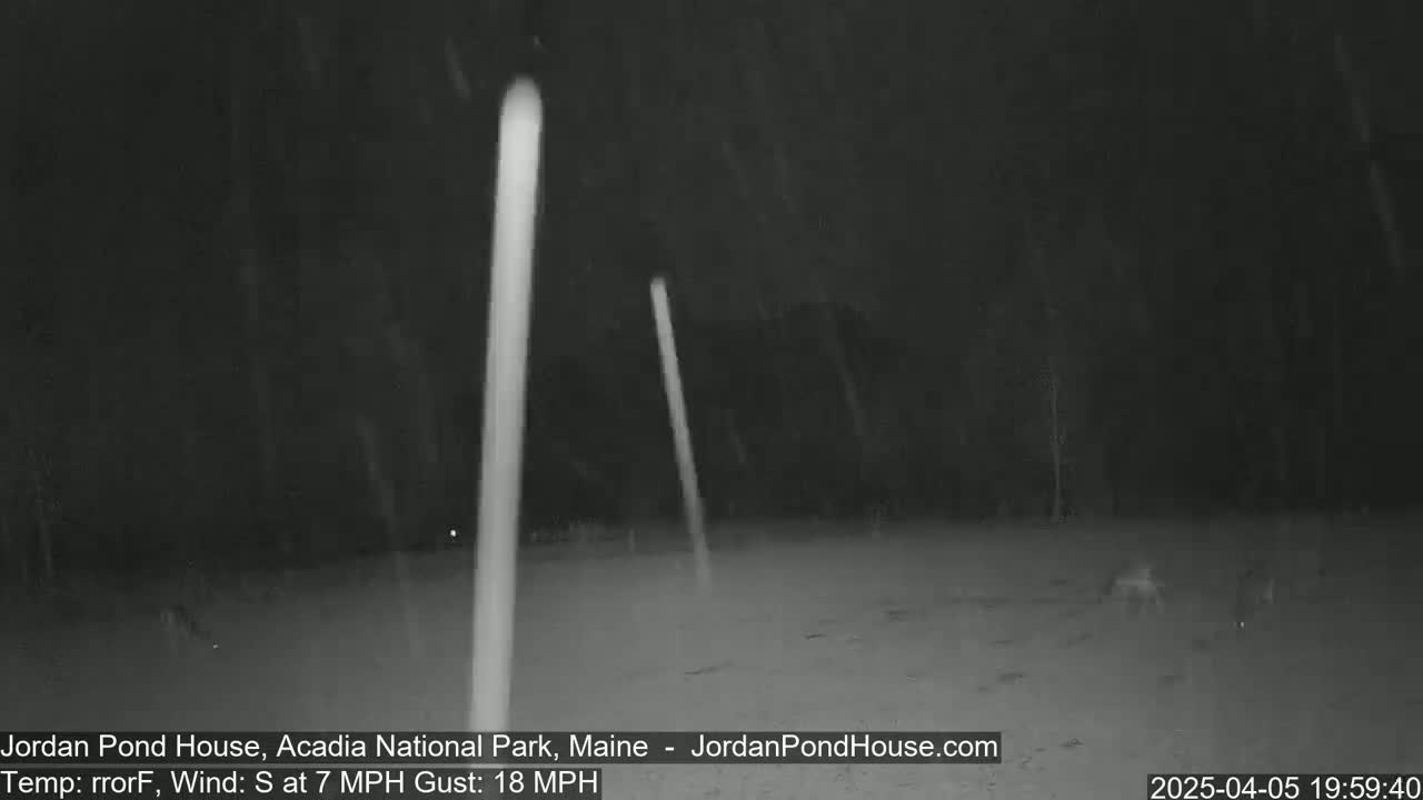 A nighttime, snowy scene shows two tall, thin, light-colored objects standing in a field with a light wind.