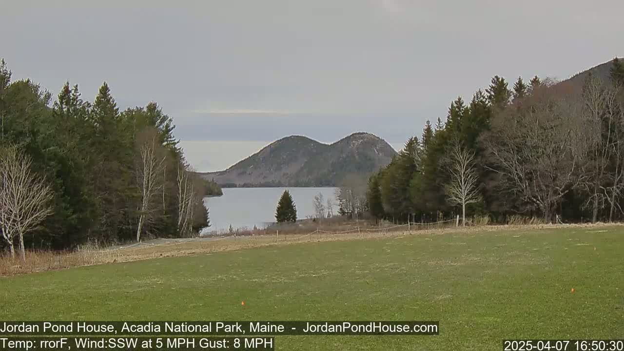 A calm, overcast day reveals a tranquil lake nestled between verdant hills and bordered by dark green trees, viewed from a grassy field.