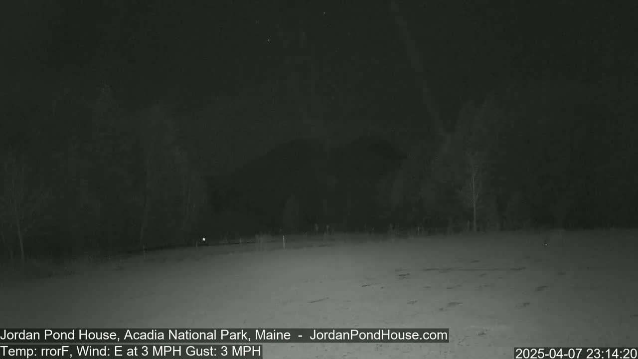 A nighttime, snow-covered field is visible under a dark sky, with a dark treeline in the background and a slight eastern wind.