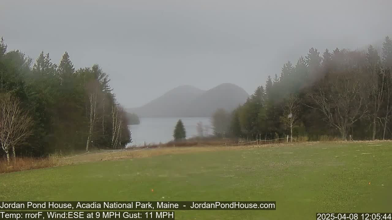 A misty, gray day reveals a calm lake nestled between dark green forested hills.