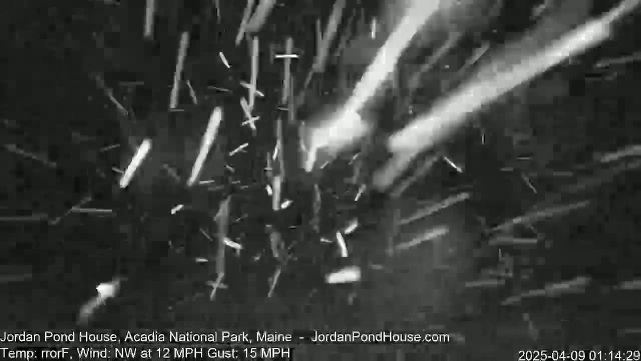 A nighttime, blurry black and white image shows many small white particles, possibly snow, blowing in a northwest wind.