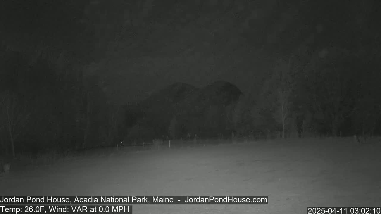A nighttime, snow-covered landscape shows dark trees and a hill in the distance under a dark sky.